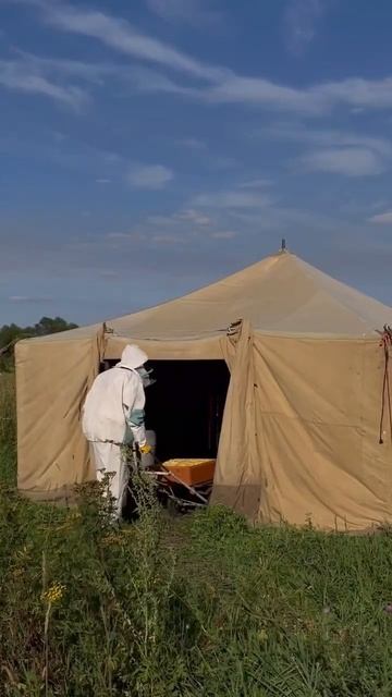 Фацелиевый мед с собственной пасеки. 2022.