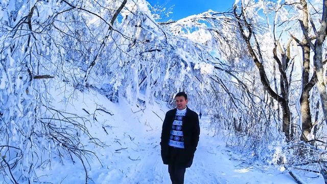 Владимир Волынкин - Новый Год