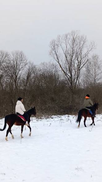 Кристина и Флейта, Дмитрий и Аквилон, в полях.