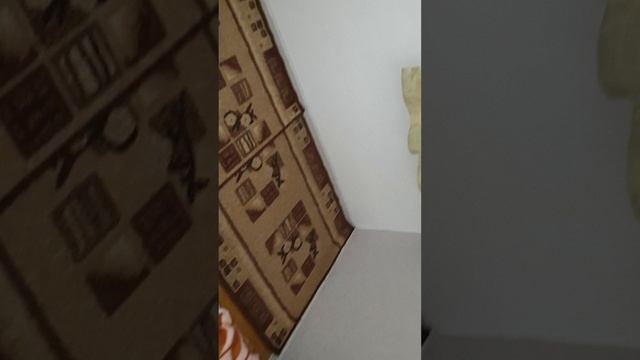 20250202_225250.mp4