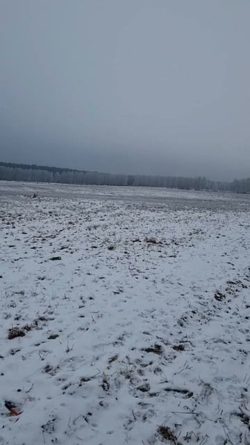 туман08.02 #покатушки4х4 #Pajero