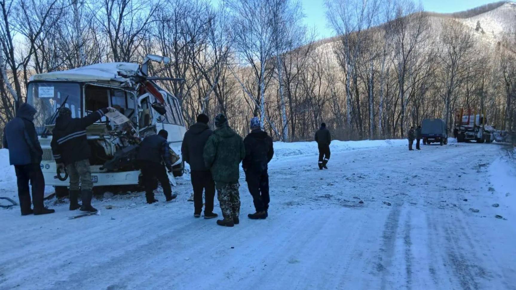 Почти 15 человек пострадали при столкновении лесовоза и автобуса в Приморье