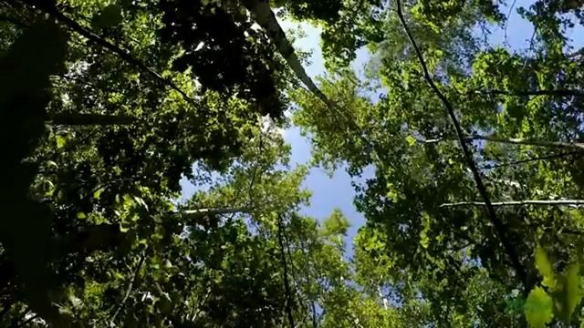 Реальность в необычном обличии часть1.