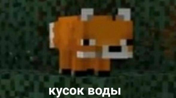 ТИКТОК КУСОК ВОДЫ - ПОДБОРКА МЕМОВ