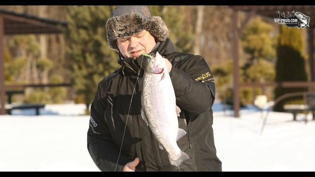 Ловля прудовой форели 20 марта