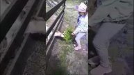 1000017404.mp4