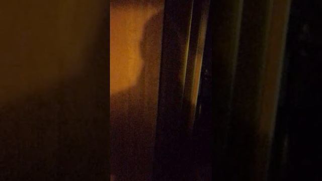Шутит барабашка: фонового гула в квартире не услышали
