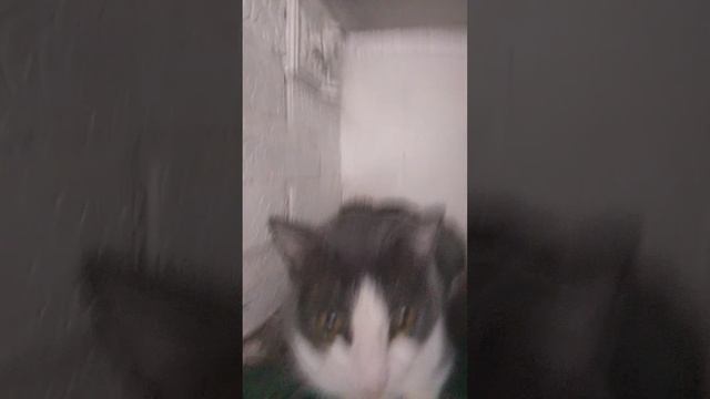 1000009524.mp4