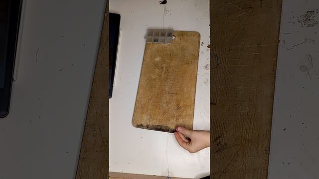 Самодельная донная снасть.