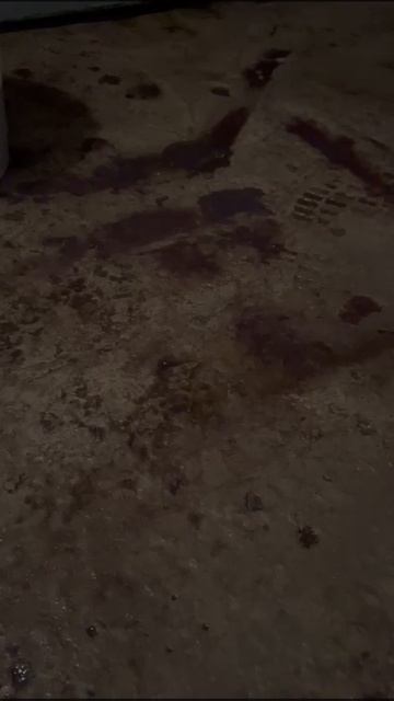 VIDEO-2024-11-28-12-20-47