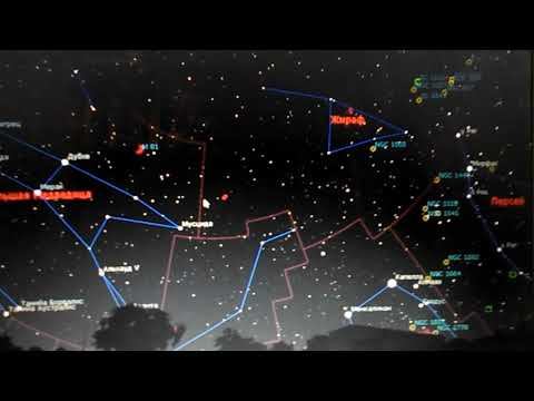У Петрухи разочаровашка.