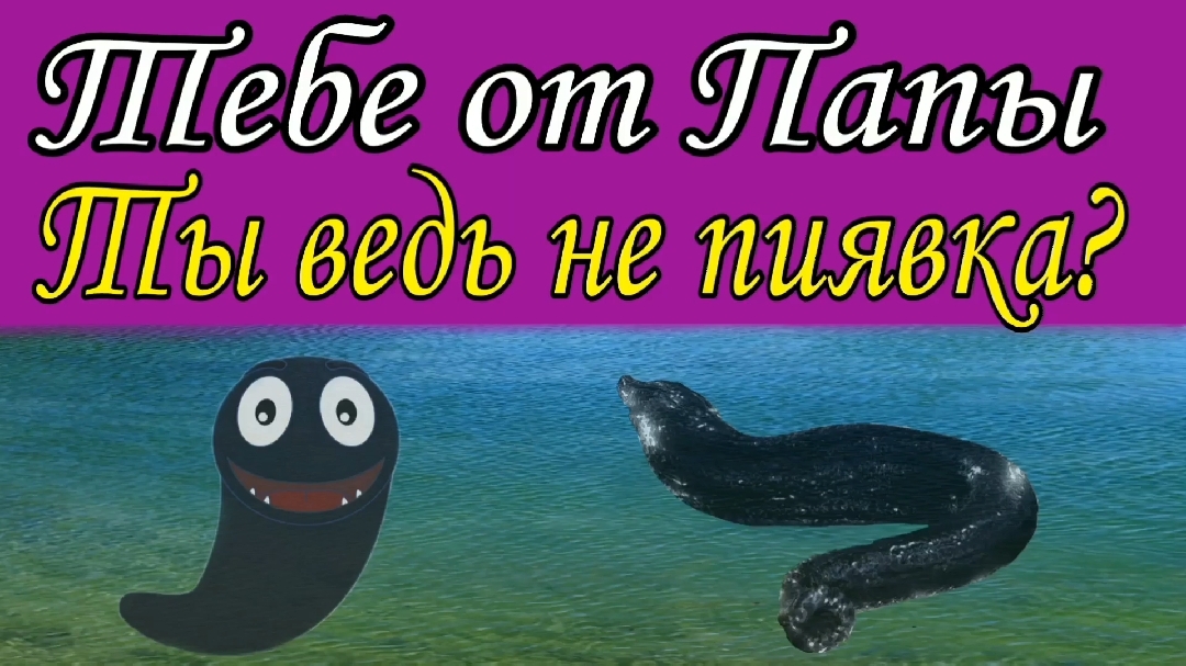 Ты ведь не пиявка ?