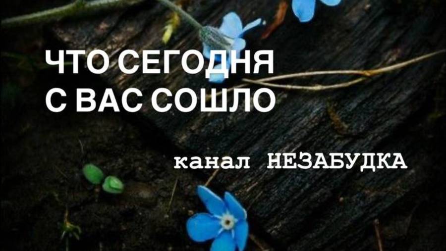 ЧТО СЕГОДНЯ с ВАС СОШЛО  🔮