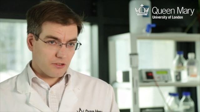 Using genomics to protect trees from Ash Dieback  - Dr Richard Buggs