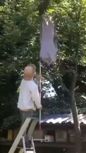 VID-20250210-WA0022