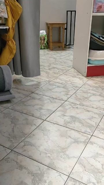 Марта.mp4