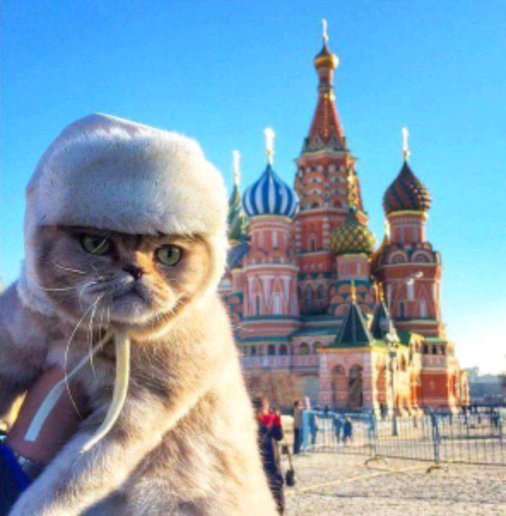 бег от Вали