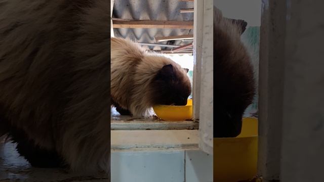 1000001475.mp4