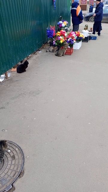 На улице