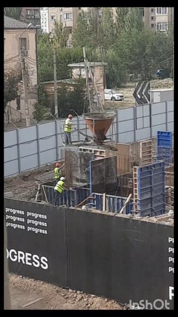летят на родину стрижи