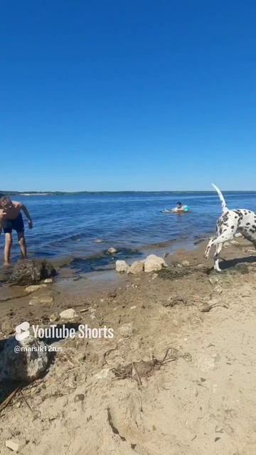 ловля брызг