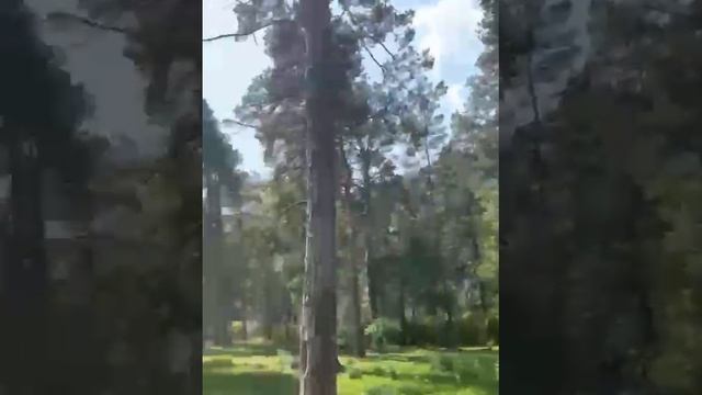 Земельный участок с. Чепош
