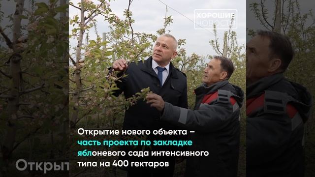 В Брянской области открыли хранилище на 5 тыс.  тонн фруктов