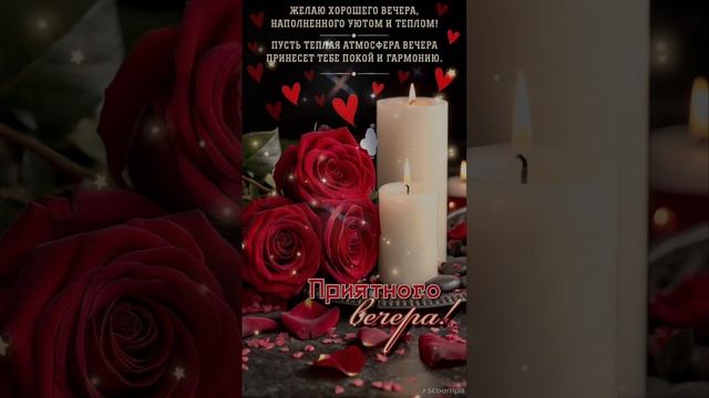 Всем доброго и уютного вечера💙💜