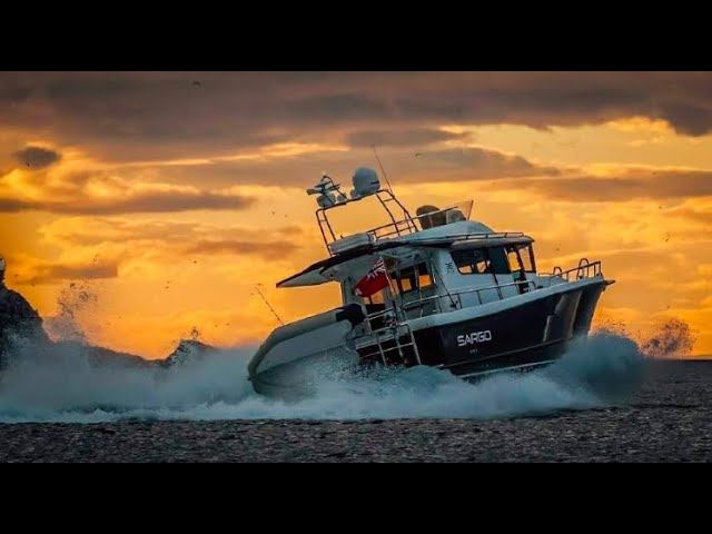 Sargo 36