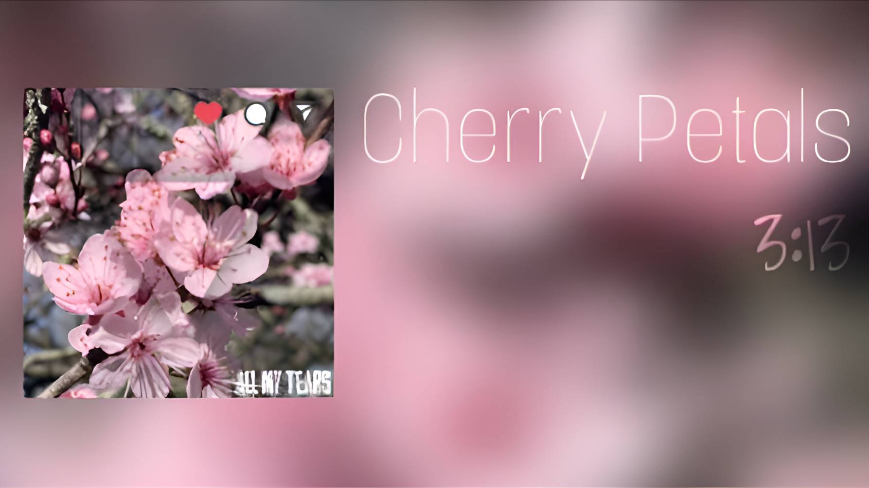 Лис - Cherry Petals