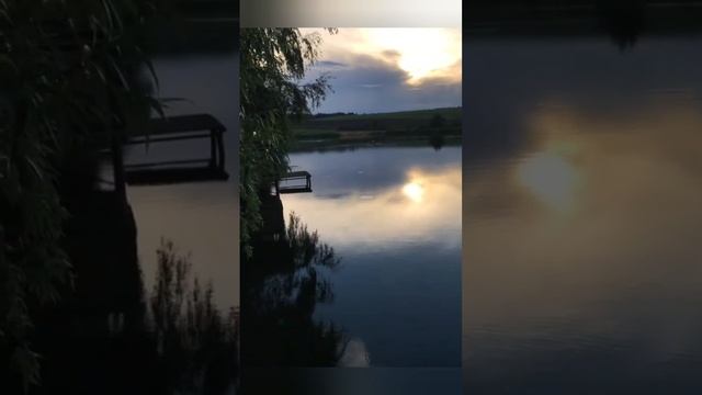 YouCut_20250210_105234198.mp4