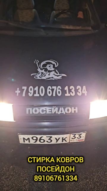 Пес Барбос испачкал ворс
