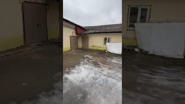 1000023651.mp4