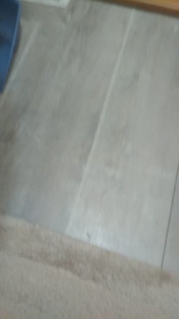 VID_20250210_144049.mp4