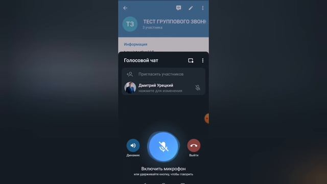 Голосовой чат в Телеграм на несколько участников. Аудиоконференция в Telegram.