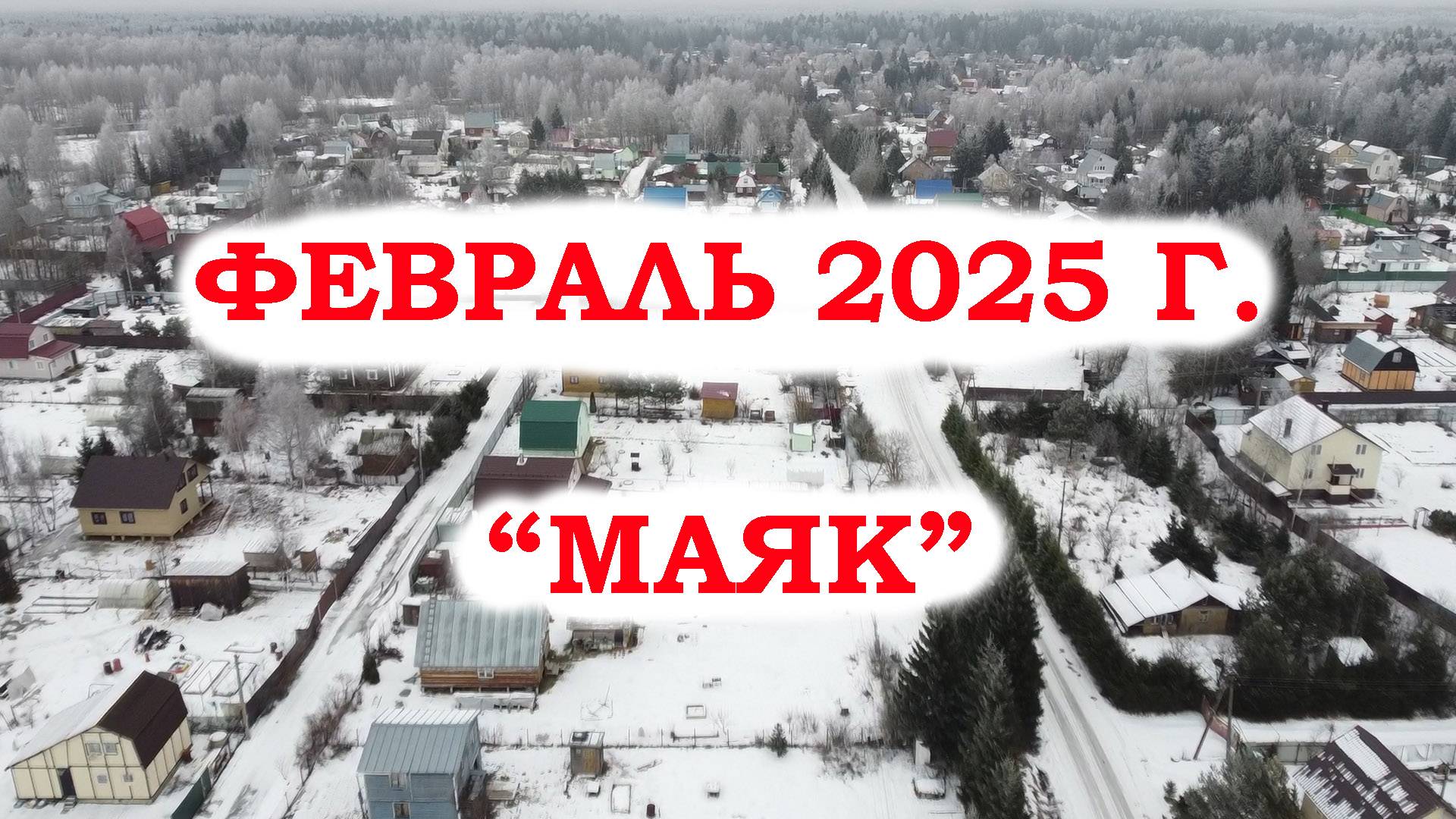 Февраль 2025 г. "Маяк"