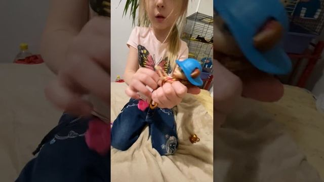 Энчантимолс