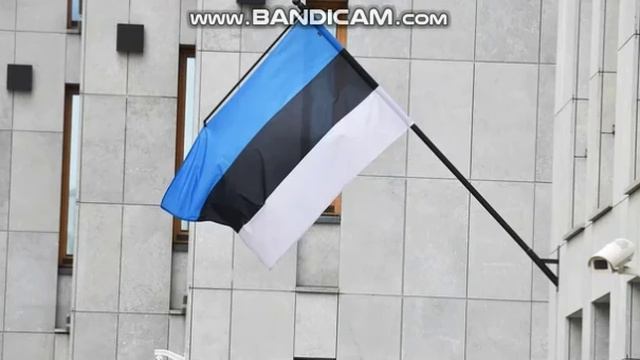 Эстония призывает ЕС рассмотреть вопрос о полном торговом эмбарго в отношении России