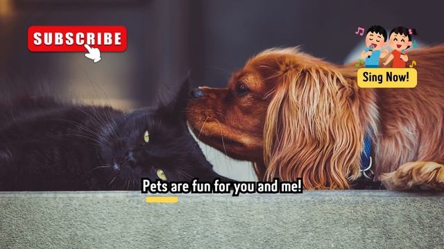 Pets