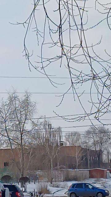 ТУ-154