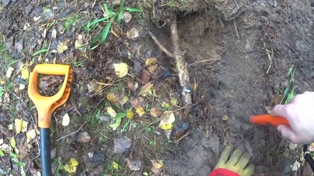 Коп по лесу первый сезон 22 10 2023