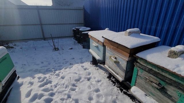 ф.39. зимовка понемногу продвигается.