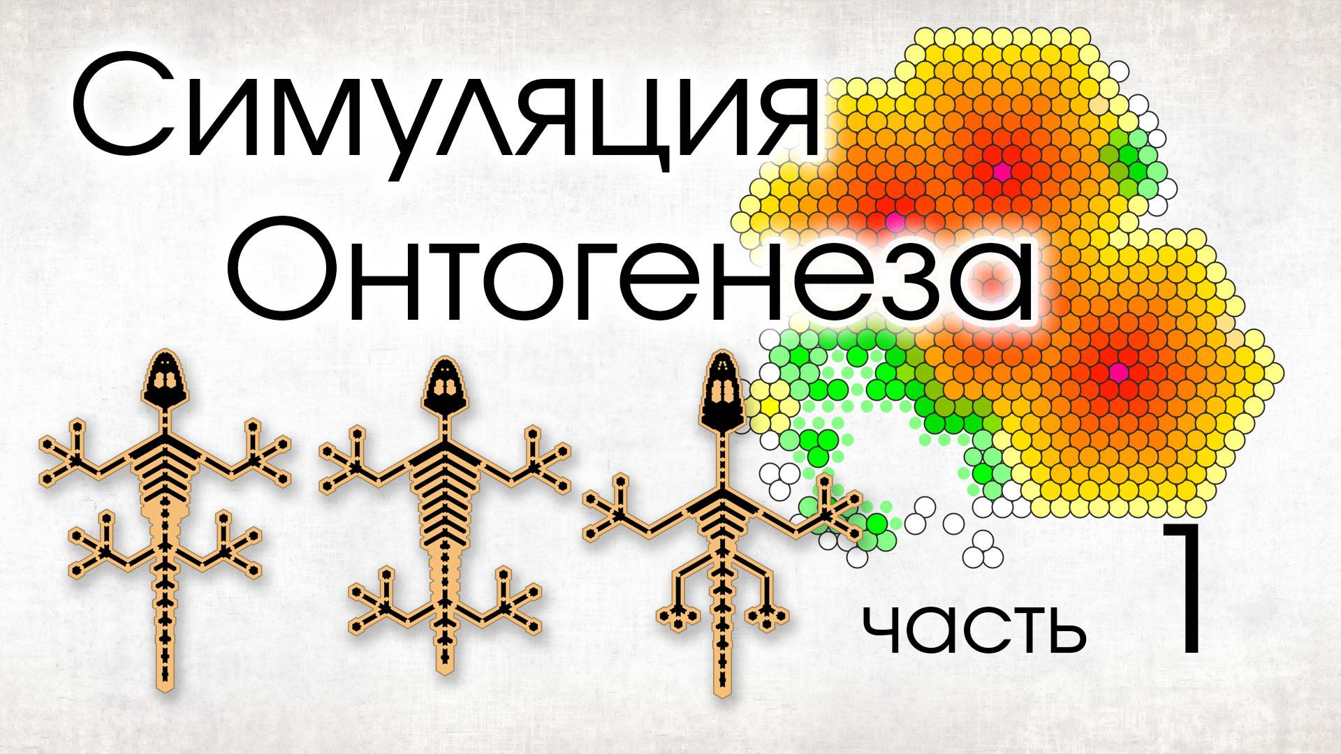 Как из одной клетки получить многоклеточный организм. Часть 1.