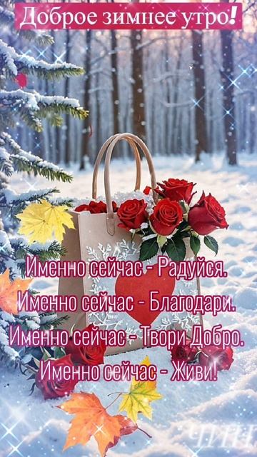 Друзья, с добрым утром! Прекрасного и счастливого нового дня!
