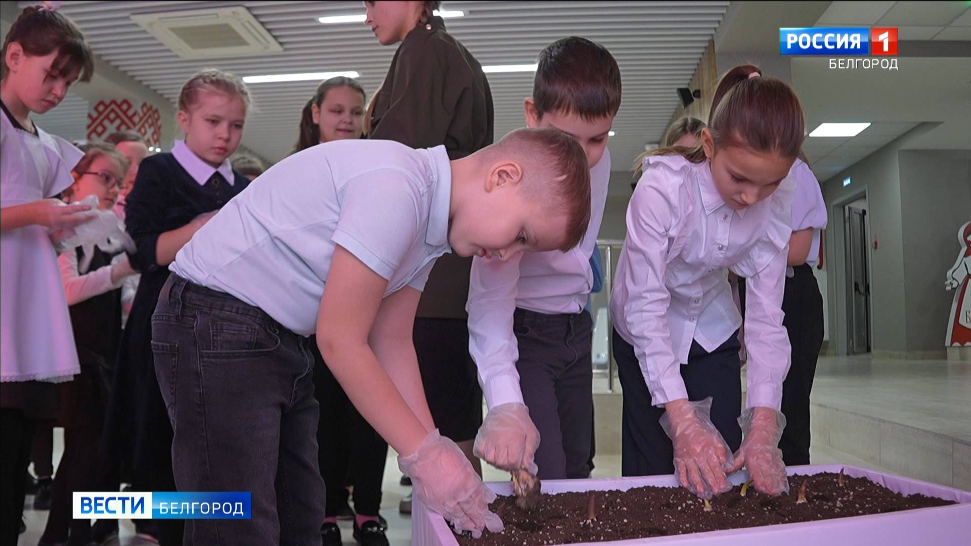 В Белгородской области стартовала акция "Цветы Победы"