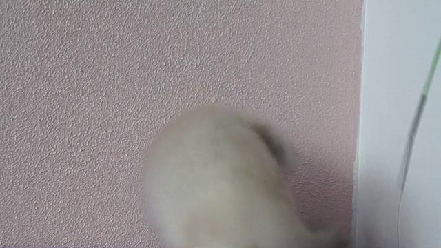 1000009676.mp4