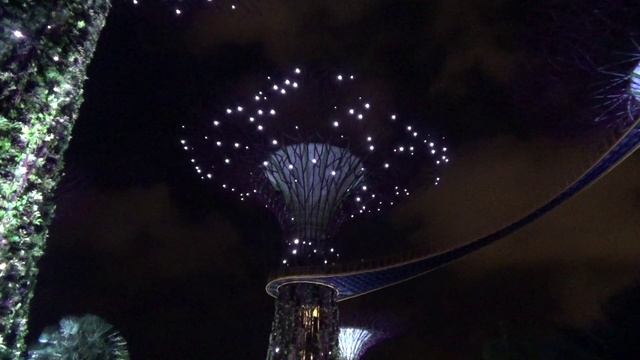 Сингапур.Сады у залива. Рядом с гостиницей Marina Bay Sands. Видео 10 летней давности.