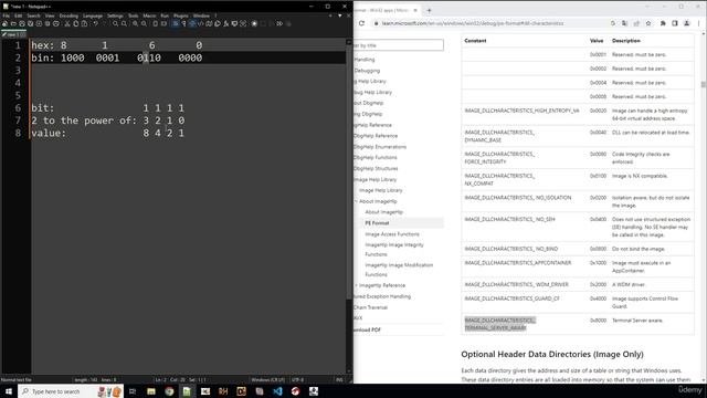 10. Debugging basics 9 Lab ASLR 2 Hex to Bin Conversion, Bitmasks and Disabling Exploit Protection