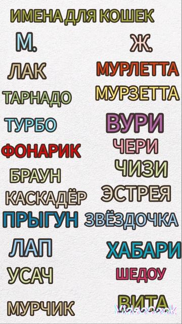 НЕОБЫЧНЫЕ И КРАСИВЫЕ ИМЕНА ДЛЯ КОШЕК {МОЙ ВАРИАНТ }(1-ЧАСТЬ) (ВИДЕО БЕЗ ЗВУКА.)