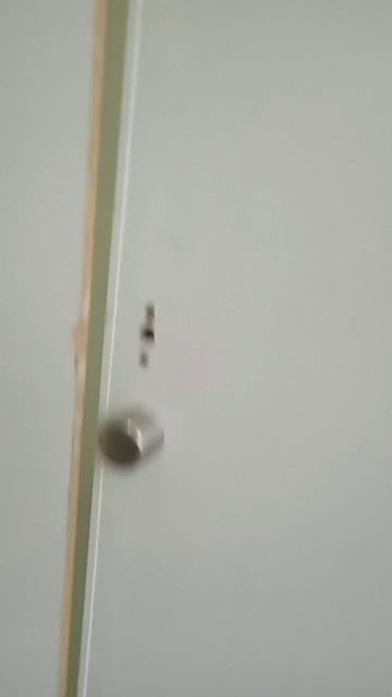 школа школа и школа🤣